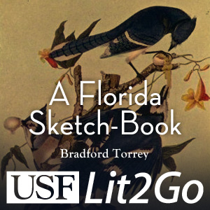 A Florida Sketch-Book A Florida Sketch-Book